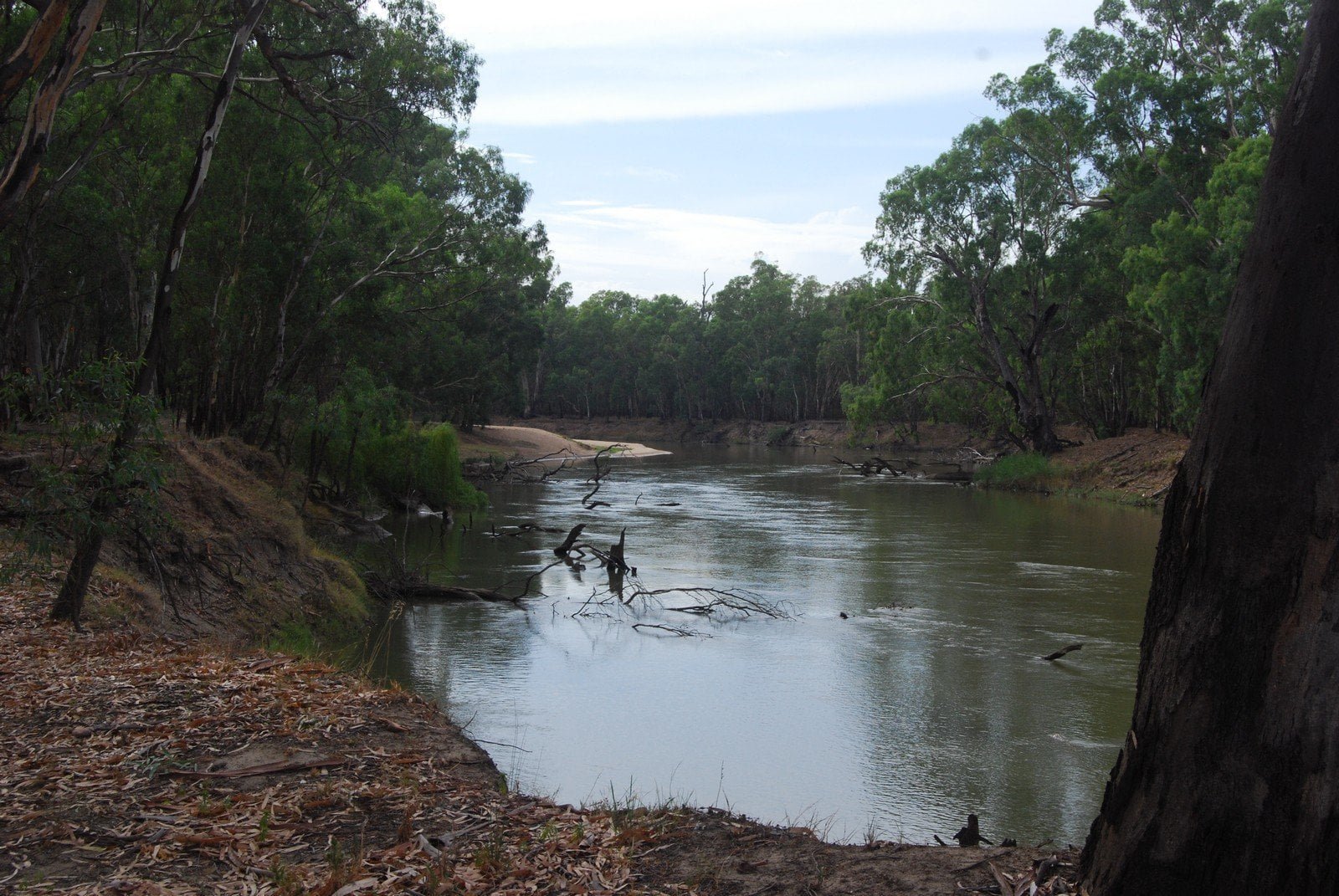 Brisbane to Melbourne Day 9 to 11 Darlington Point All Over Australia
