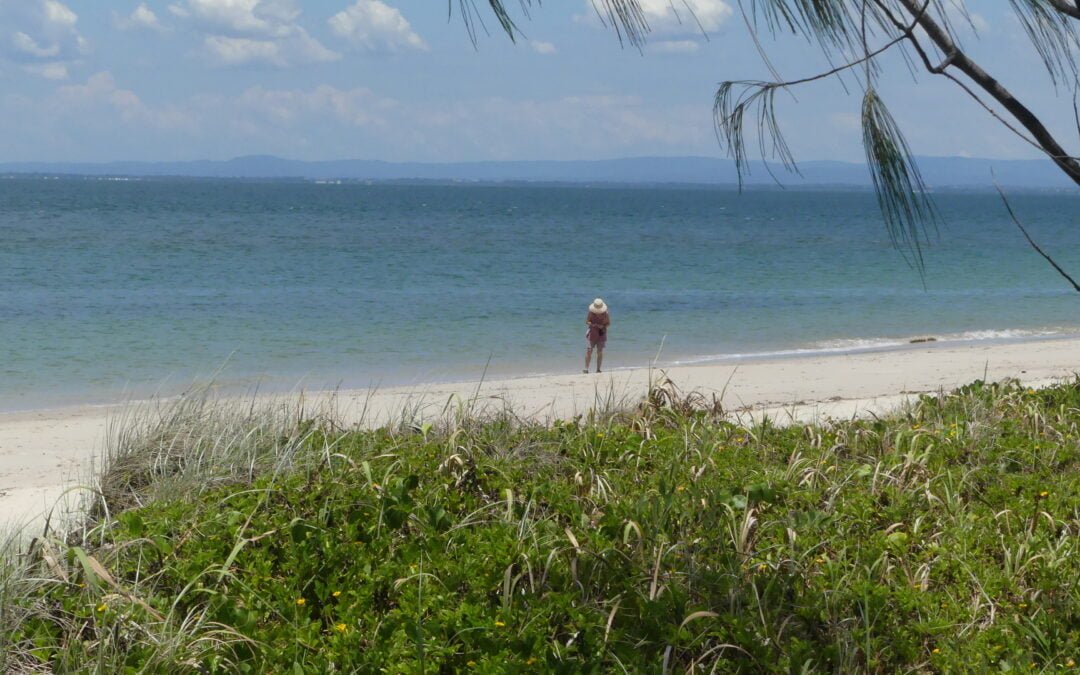 Summer on Bribie Island – Beach and Bush Walks